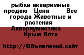 рыбки акваримные продаю › Цена ­ 30 - Все города Животные и растения » Аквариумистика   . Крым,Ялта